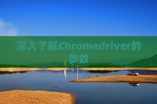 深入了解Chromedriver的参数